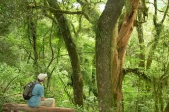 Trekking à San Lorenzo, Salta