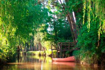 Tigre et Delta Full Day Tour avec déjeuner à Tigre