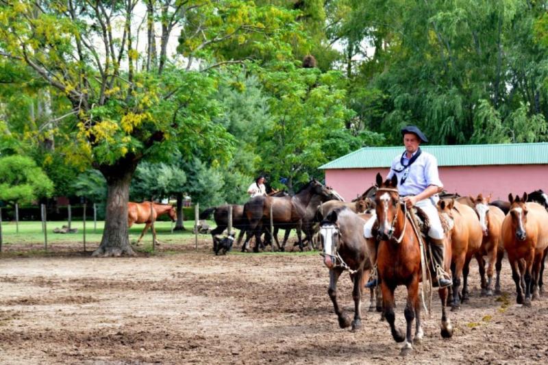 Ranch Santa Susana : excursion gaucho au départ de Buenos Aires