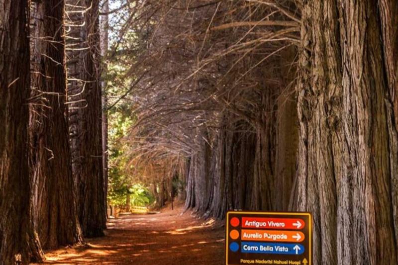 1-Day Victoria Island and Arrayanes Forest Tour