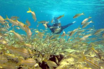 Visite 4x4 Off-Road Island Discovery Full Day