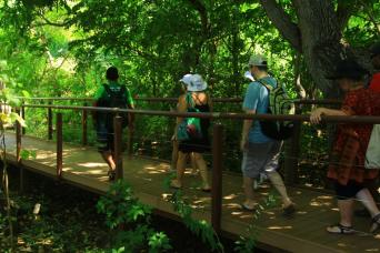 Visite 4x4 Off-Road Island Discovery Full Day