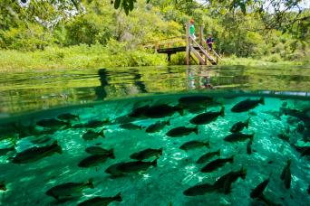 Floating at Sucuri River