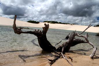 4x4 autour de Lençóis Maranhenses