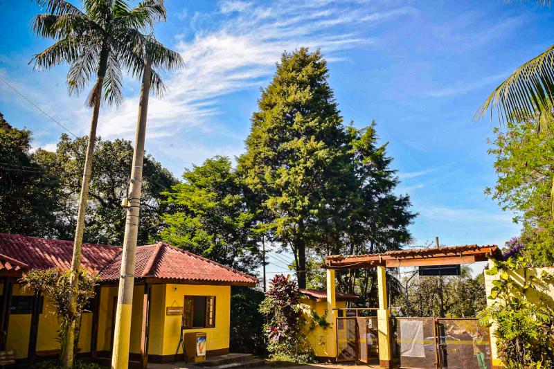 Eco Tour: Cantareira State Park and Waterfalls