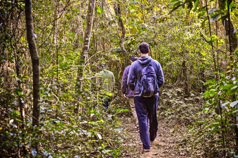 Eco Tour: Cantareira State Park and Waterfalls