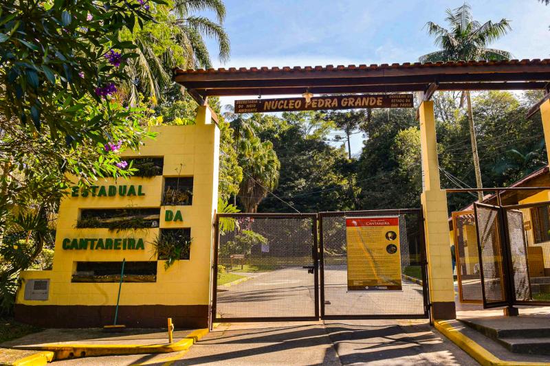 Eco Tour: Cantareira State Park and Waterfalls