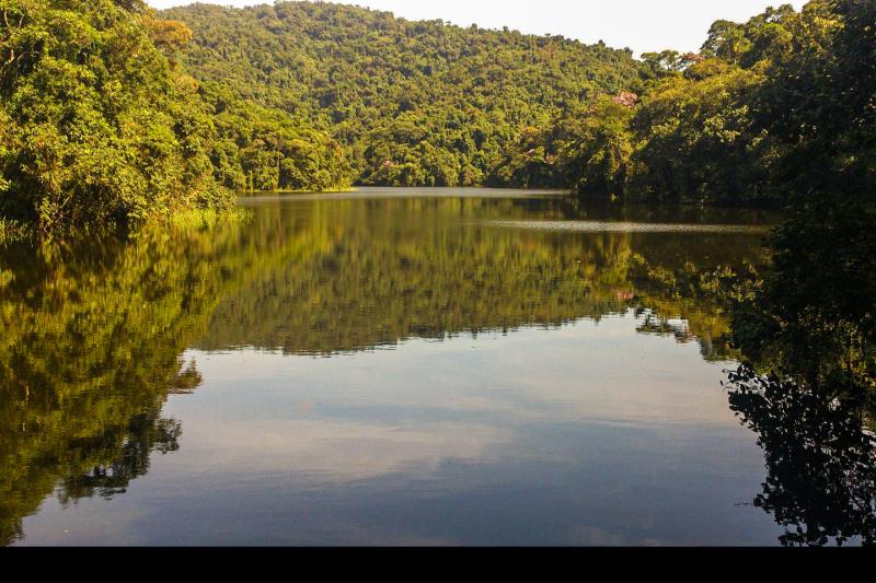 Eco Tour: Cantareira State Park and Waterfalls