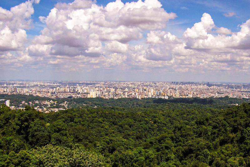 Eco Tour: Cantareira State Park and Waterfalls