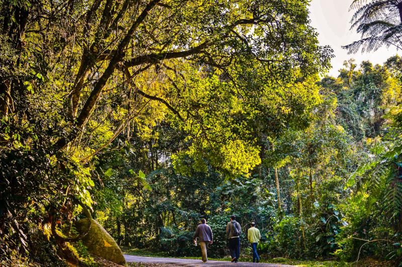 Eco Tour: Cantareira State Park and Waterfalls