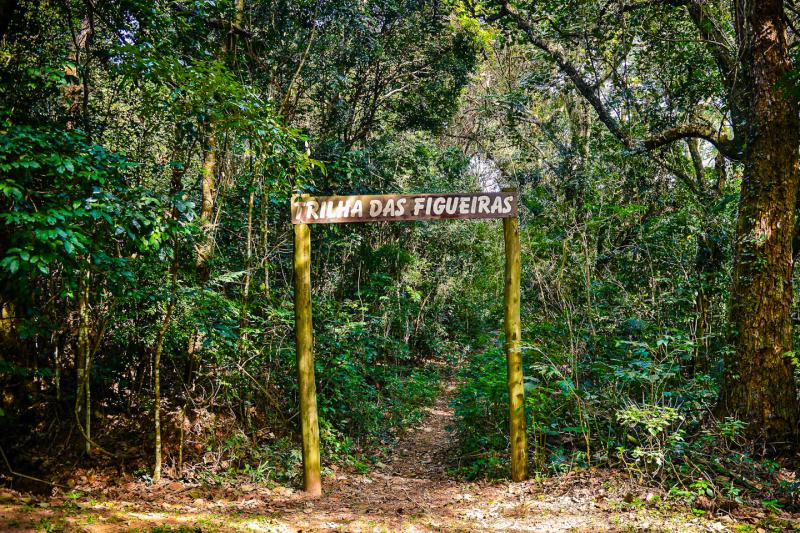 Eco Tour: Cantareira State Park and Waterfalls