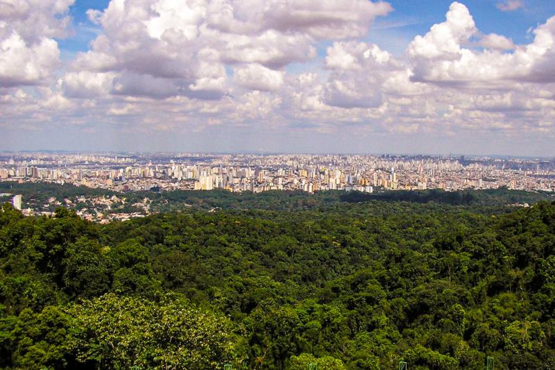 Eco Tour: Cantareira State Park and Waterfalls
