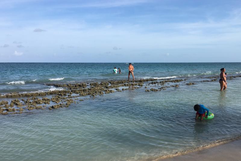 Passeio privativo para Porto de Galinhas