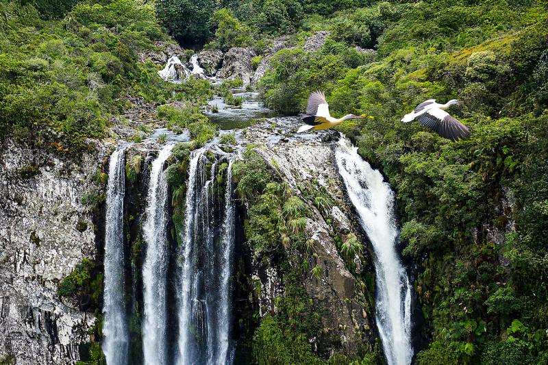 Tour Cânion Itaimbezinho com Piquenique