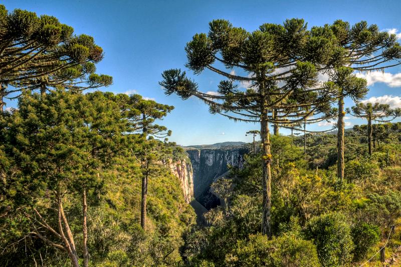 Tour Cânion Itaimbezinho com Piquenique