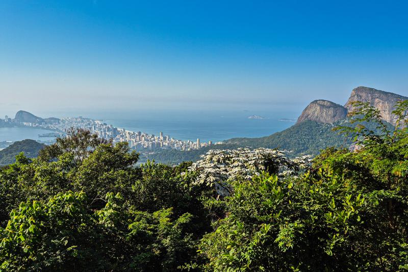 Private Tour: Rainforest Jeep Adventure in Tijuca National Park