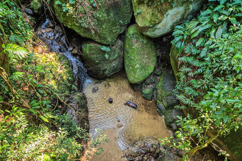 Private Tour: Rainforest Jeep Adventure in Tijuca National Park