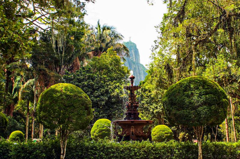 Botanical Garden Private Tour - Guided Visit