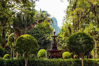 Botanical Garden Private Tour – Guided Visit