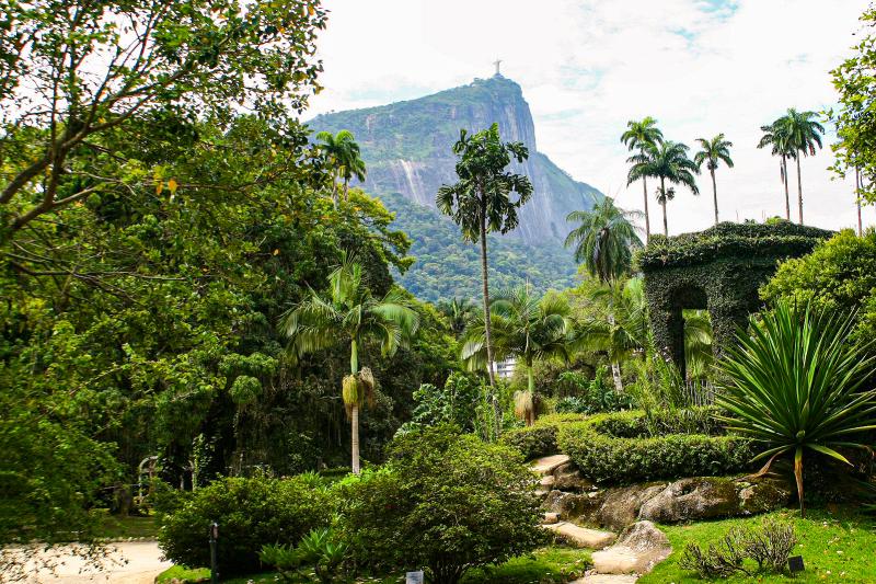 Botanical Garden Private Tour - Guided Visit