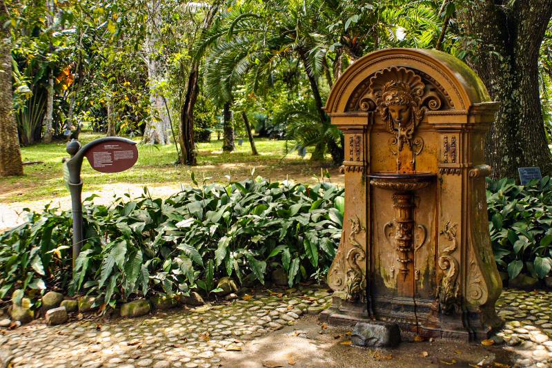 Botanical Garden Private Tour - Guided Visit