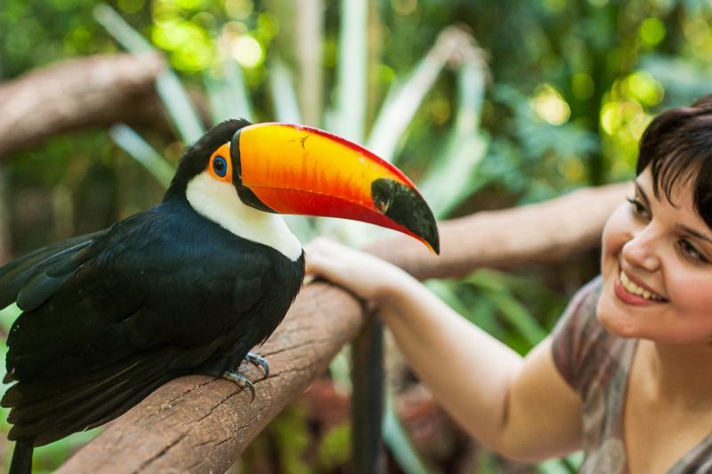 Immersive visit to the incredible Bird Park