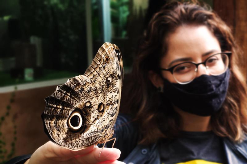 Immersive visit to the incredible Bird Park