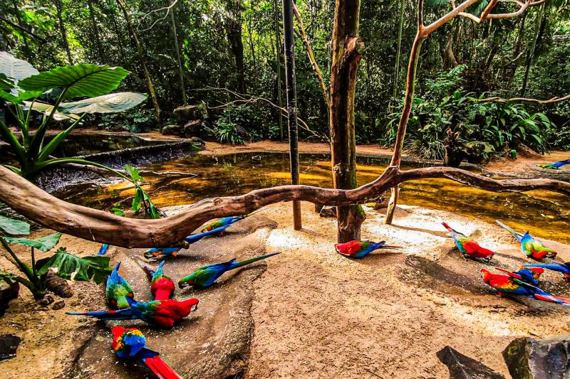 Immersive visit to the incredible Bird Park