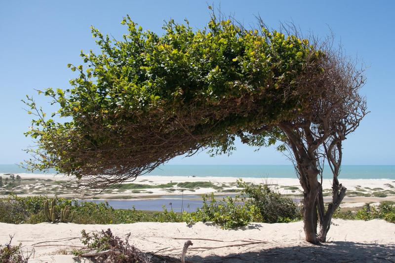 Passeio pela Praia de Águas Belas