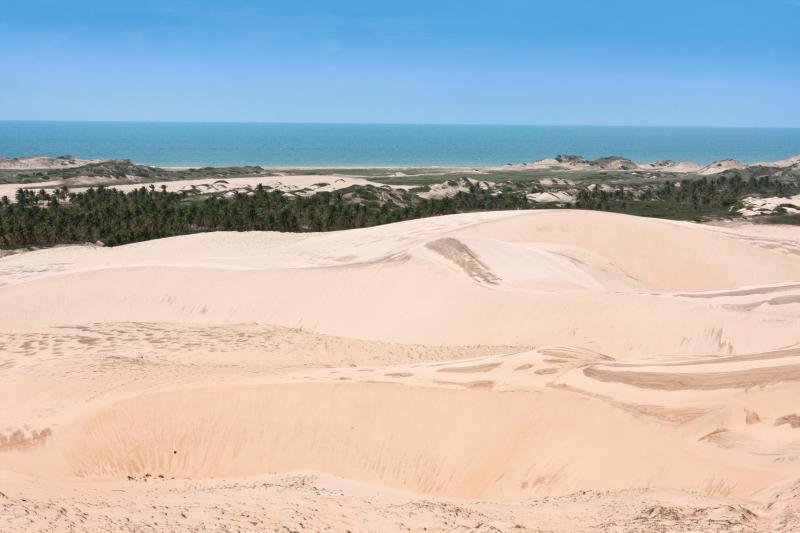 Passeio pela praia de Mundaú e Flecheiras