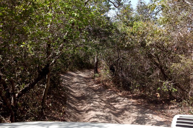 Full day to Atins at Lençóis Maranhenses National Park