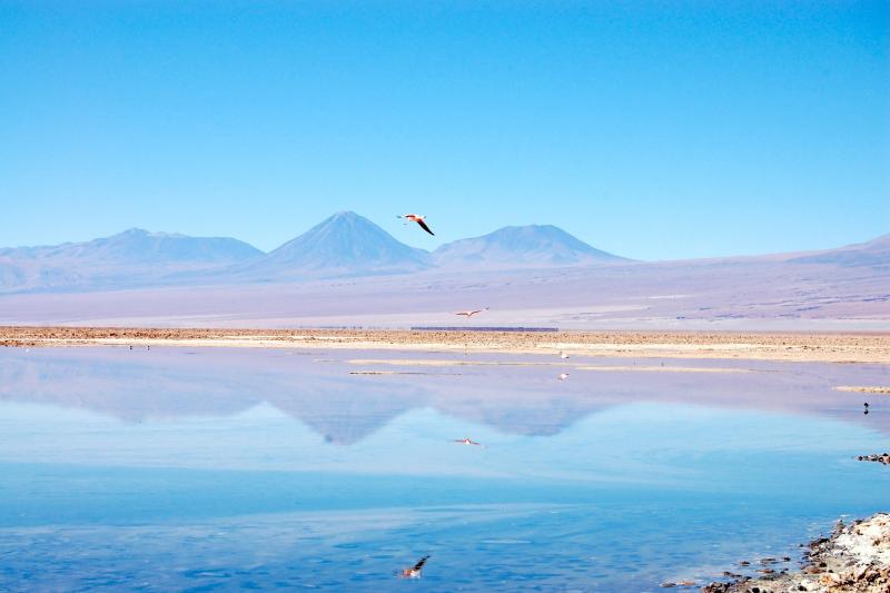 Lagune de Cejar et Tebenquiche: excursions depuis San Pedro de Atacama