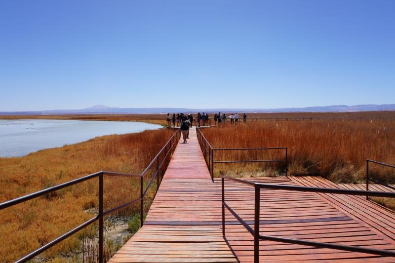 Lagune de Cejar et Tebenquiche: excursions depuis San Pedro de Atacama