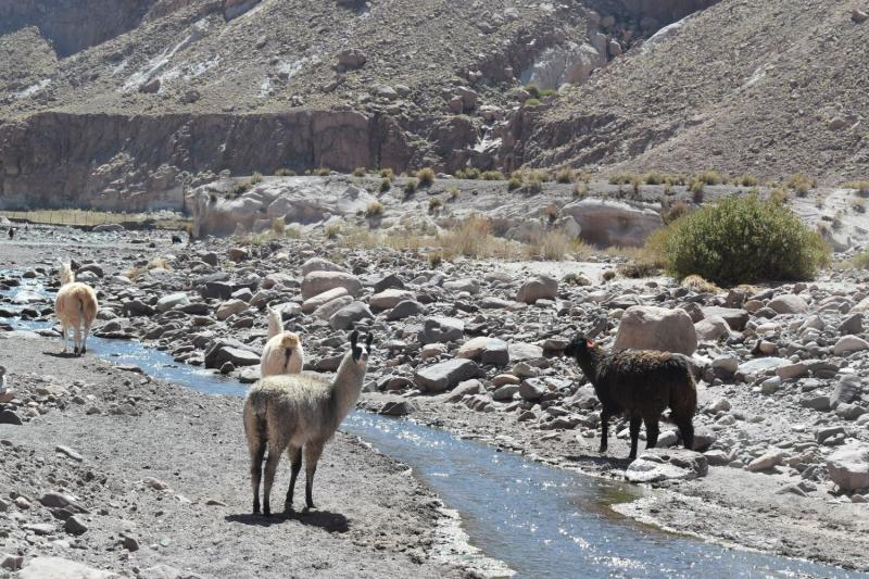 Rainbow Valley : excursion au départ de San Pedro de Atacama