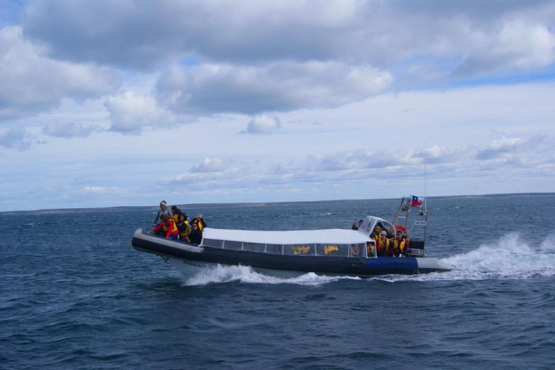 Excursion en bateau sur le thème des pingouins à l'île Magdalena