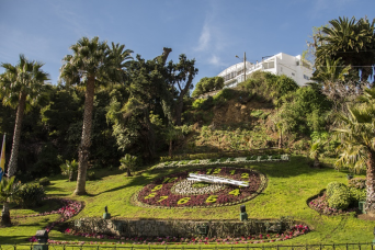 Viña del Mar & Valparaiso Stopover