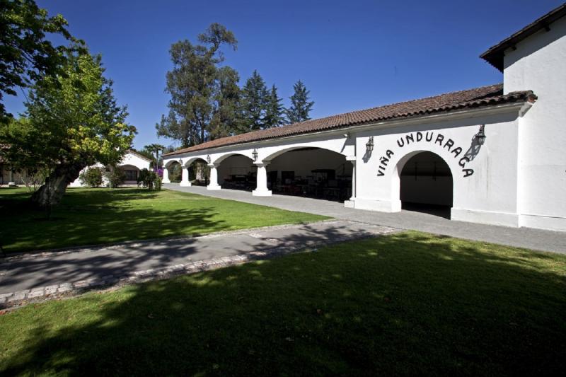 Undurraga : excursion avec dégustation de vins