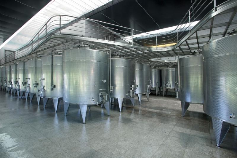 Undurraga : excursion avec dégustation de vins