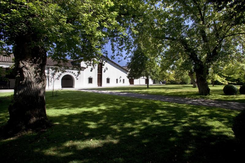 Undurraga : excursion avec dégustation de vins