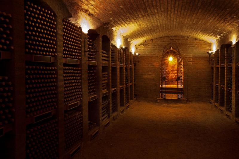 Undurraga : excursion avec dégustation de vins