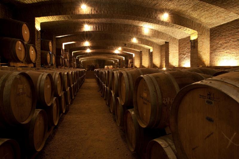 Undurraga : excursion avec dégustation de vins