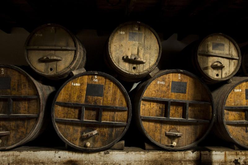 Undurraga : excursion avec dégustation de vins