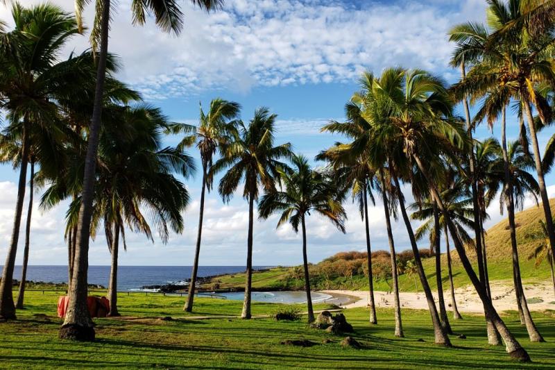 Île de Pâques : excursion à Ahu Akivi, Orongo et la plage d’Anakena