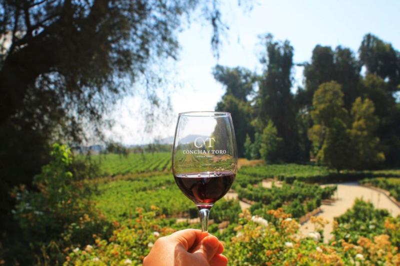 Visitez le vignoble chilien le plus célèbre