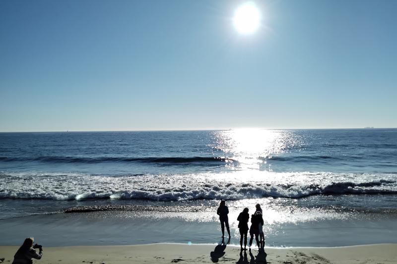 Coastal Viña del Mar & Historic Valparaiso