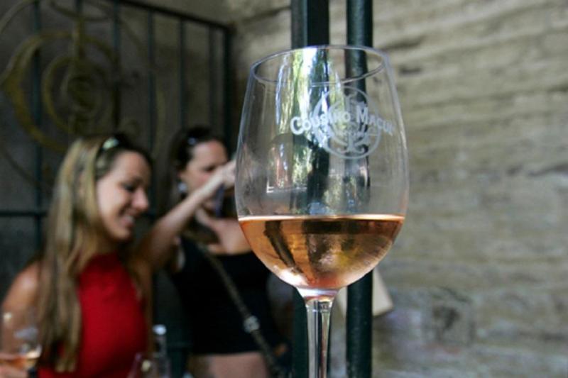 Dégustation de vins