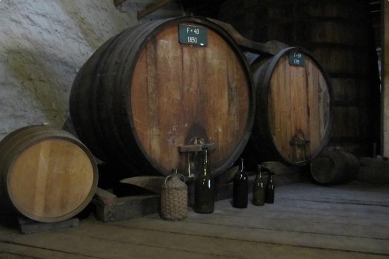 Cousino Macul Winery : visite guidée