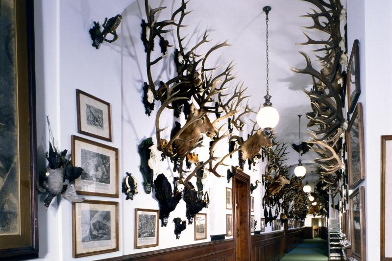 Le château de Konopište : visite guidée