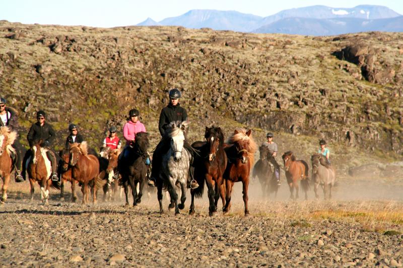 Excursion d'équitation en Islande au départ de Reykjavik