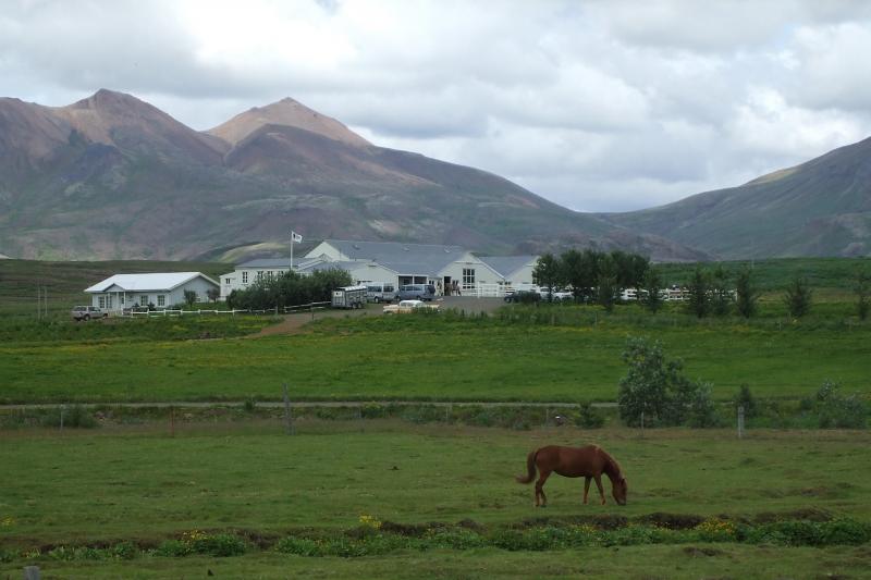 Excursion d'équitation en Islande au départ de Reykjavik